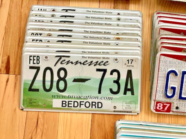 Bulk Lot of 100 License Plates- 10 of Each State in Craft Condition
