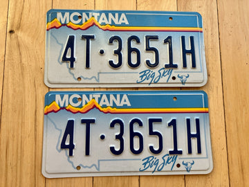 Pair of 1991 Montana License Plates
