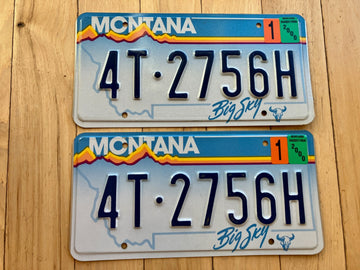 Pair of 2000 Montana License Plates