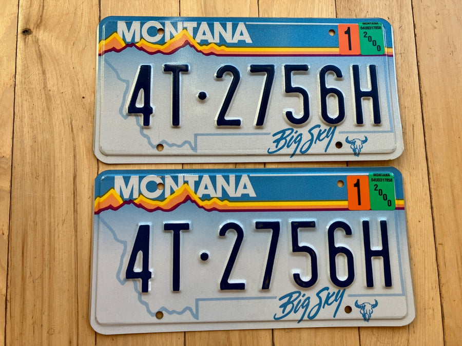 Pair of 2000 Montana License Plates