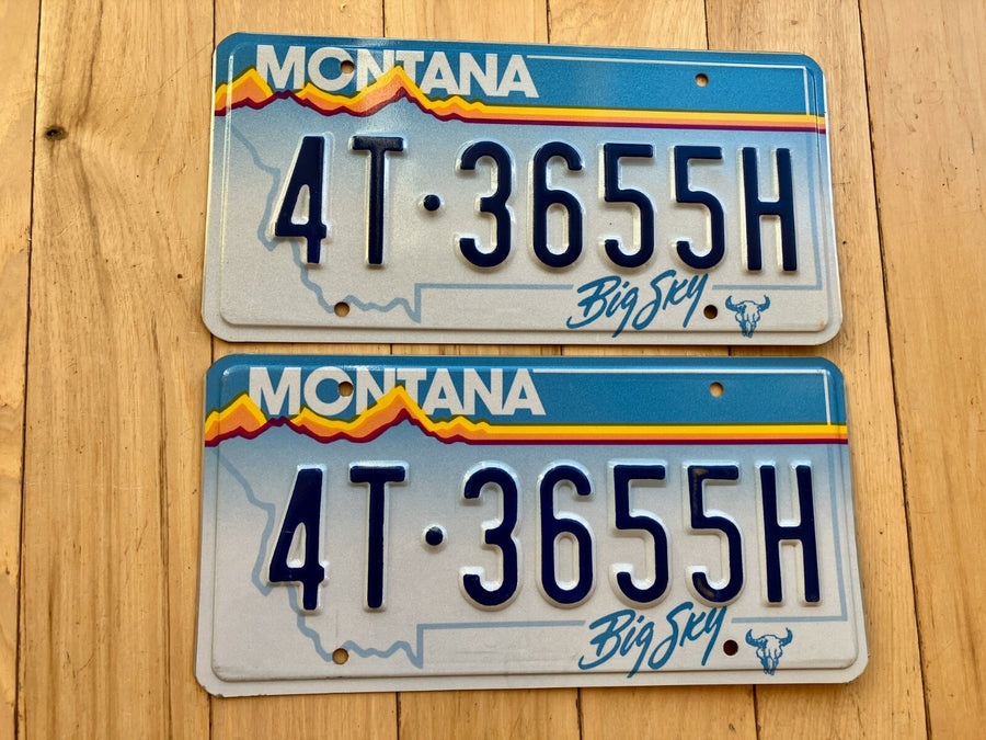 Pair of 1991 Montana License Plates