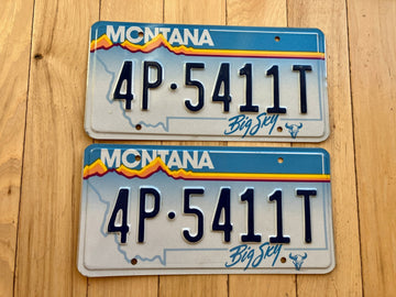 Pair of 1991 Montana License Plates
