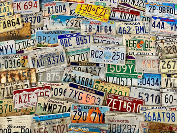 Bulk Lot of 100 Roadkill Condition License Plates From At Least 30 States