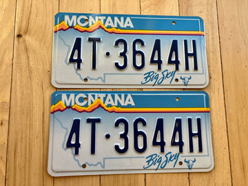 Pair of 1991 Montana License Plates