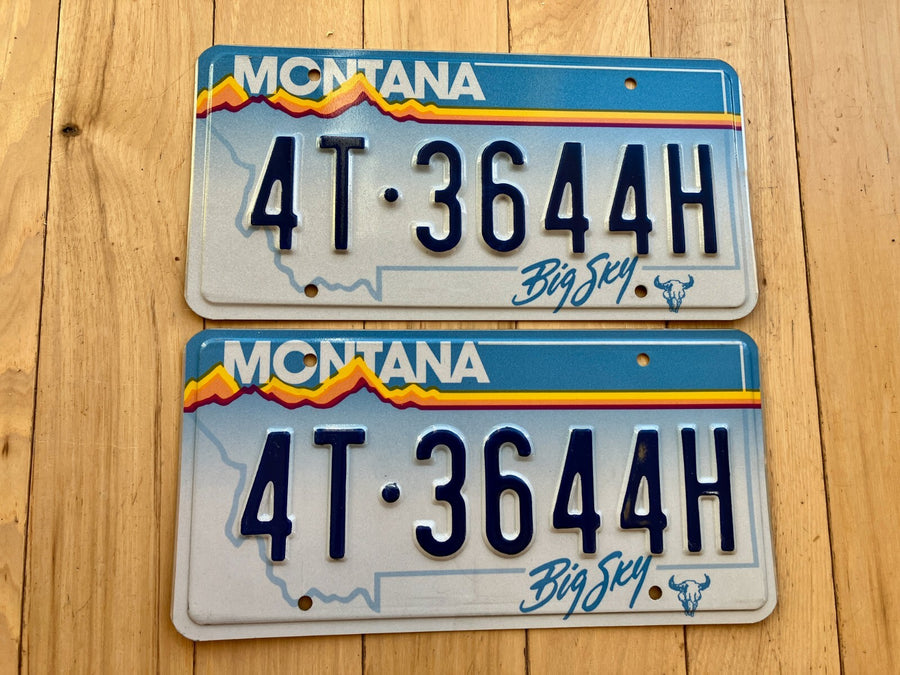 Pair of 1991 Montana License Plates