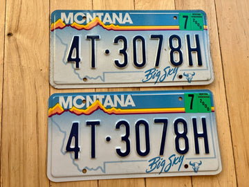 Pair of 2000 Montana License Plates