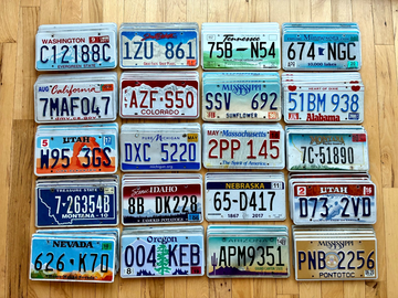 Bulk Set of 100 License Plates- 20 Versions, 5 of Each in Craft Condition