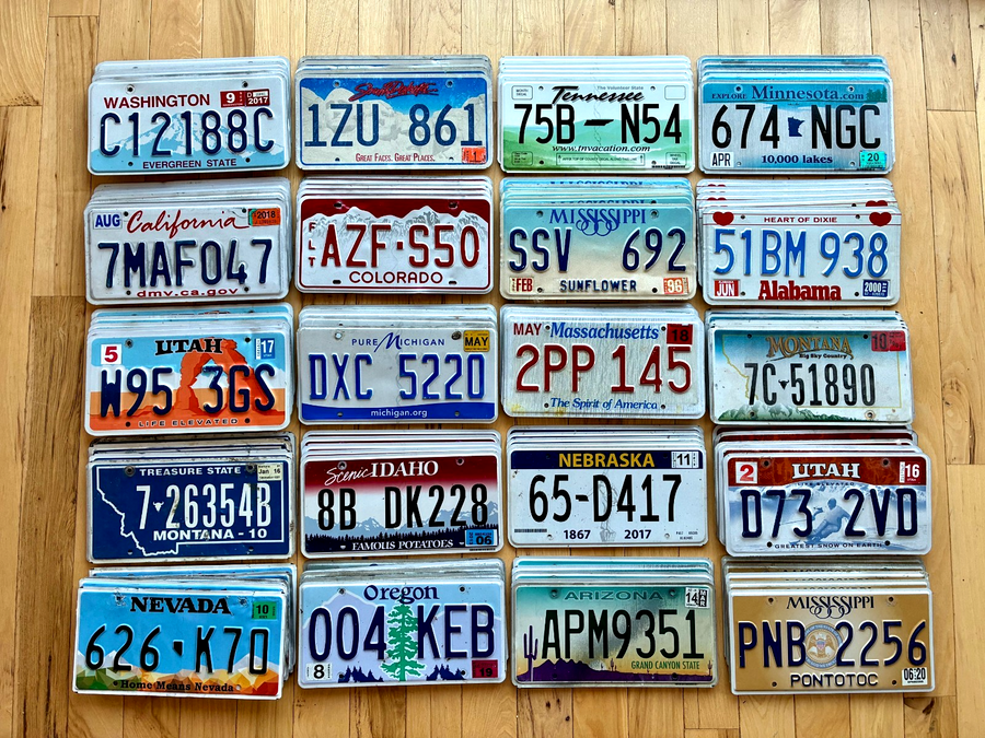 Bulk Set of 100 License Plates- 20 Versions, 5 of Each in Craft Condition