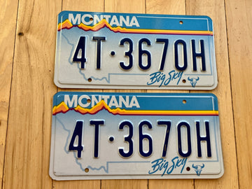 Pair of 1991 Montana License Plates