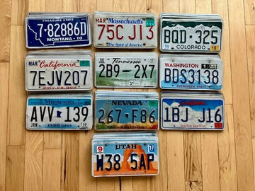 Bulk Lot of 50 License Plates from 10 Different States - 5 of Each State