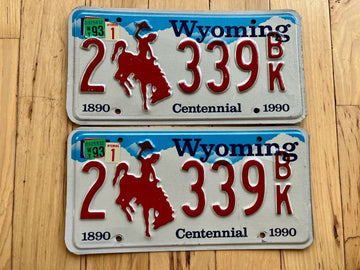 Pair Of 1993 Wyoming License Plate