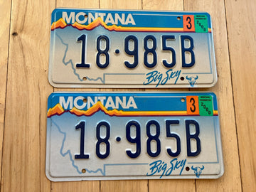 Pair of 2000 Montana License Plates