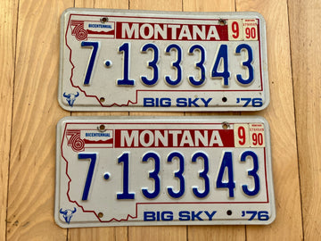 Pair of 1976 Montana License Plates W/ 1990 Tabs