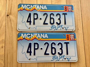 Pair of 1999 Montana License Plates