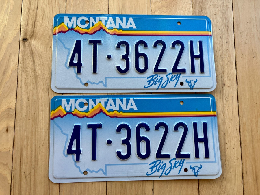 Pair of 1991 Montana License Plates