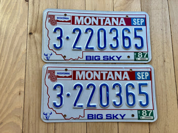 Pair of 1976 Montana License Plates W/ 1987 Tabs