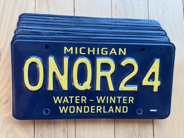 10 Set of 2021 Base Michigan Winter Wonderland License Plates In Craft Condition