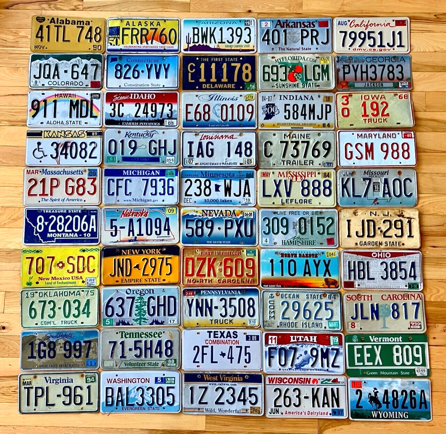 50 State Set of US License Plates in Craft Condition