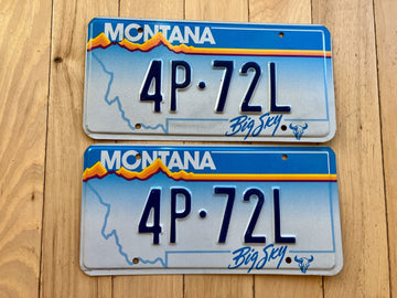 Pair of 1991 Montana License Plates