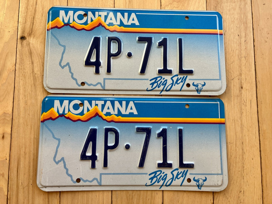 Pair of 1991 Montana License Plates