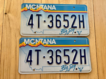 Pair of 1991 Montana License Plates