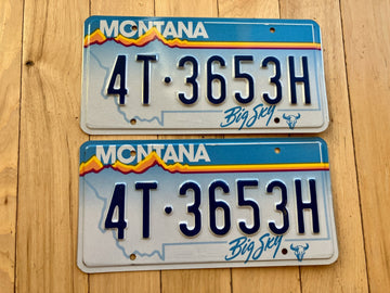 Pair of 1991 Montana License Plates