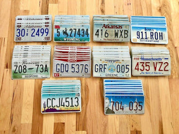 Bulk Lot of 100 License Plates- 10 of Each State in Craft Condition