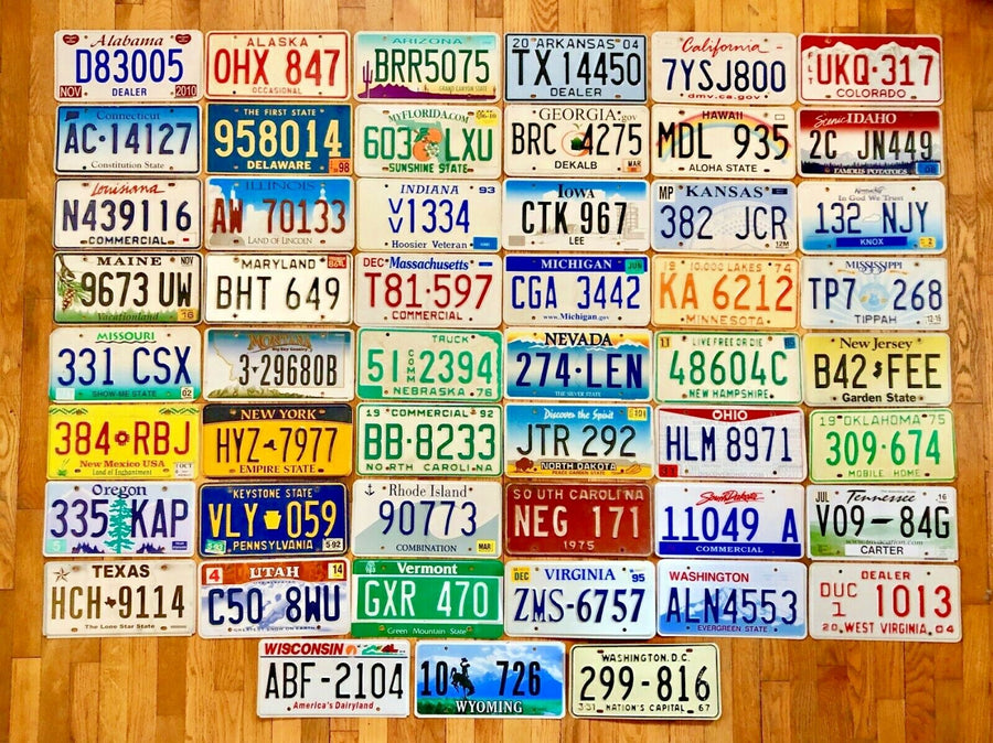 50 USA License Plate Collection Plus a Washington DC Plate- Good Condition