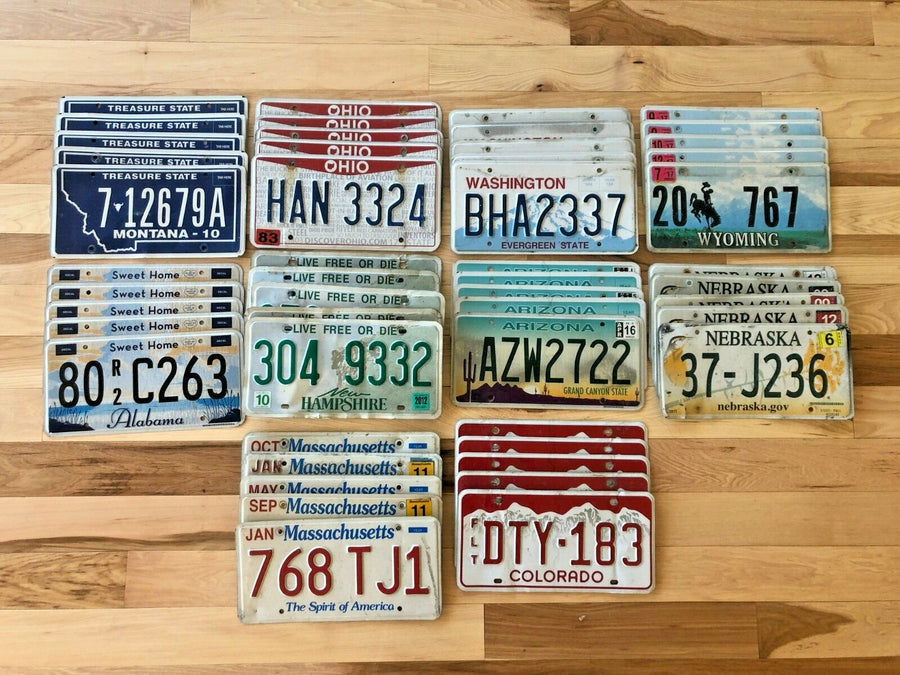 Bulk Lot of 50 License Plates from 10 Different States - 5 of Each State