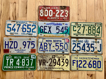 10 Canadian Province Set of License Plates in Craft Condition