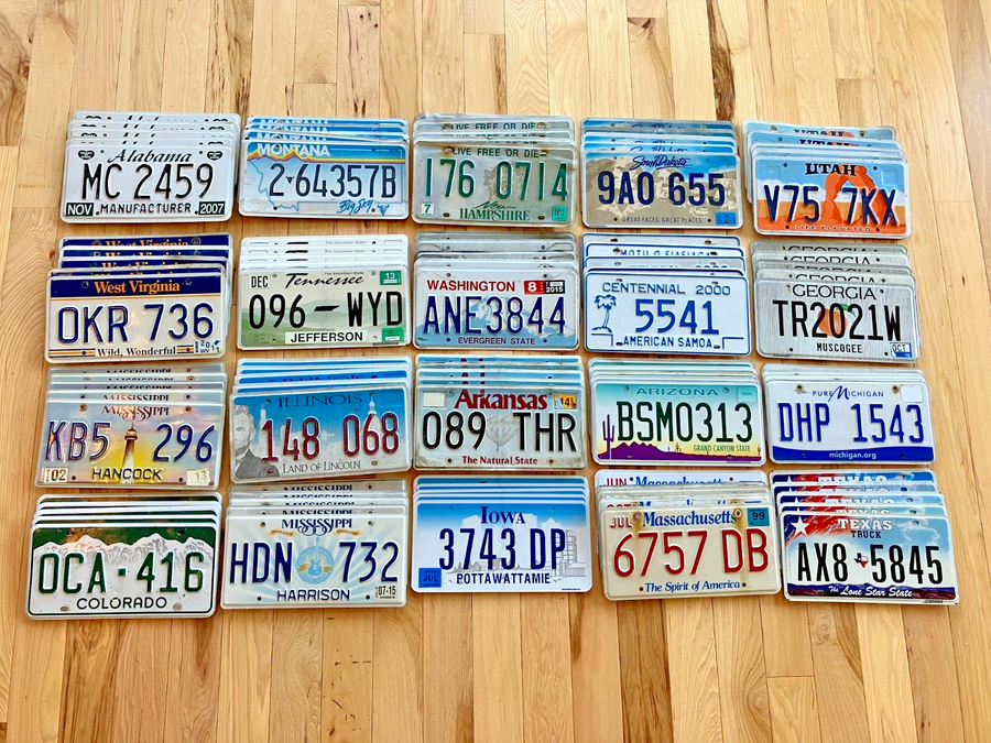 Bulk Lot of 100 License Plates- 20 Versions, 5 of Each in Craft Condition