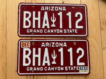 Pair of 1983 Arizona License Plates
