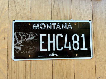 2018 Montana Creating Community License Plate
