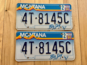 Pair of 1994 Montana License Plates