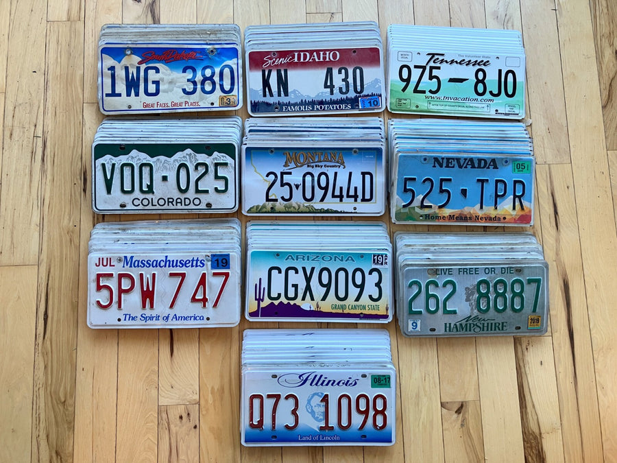 Bulk Lot of 100 License Plates- 10 of Each State in Craft Condition