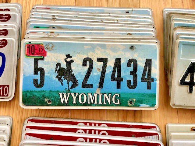 Bulk Lot of 100 License Plates- 10 of Each State in Craft Condition