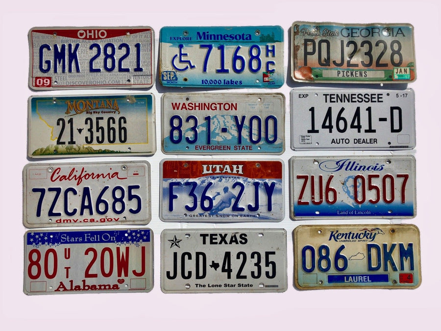 12 Pack of License Plates From 12 Different States. Great Set of Used License Plates.