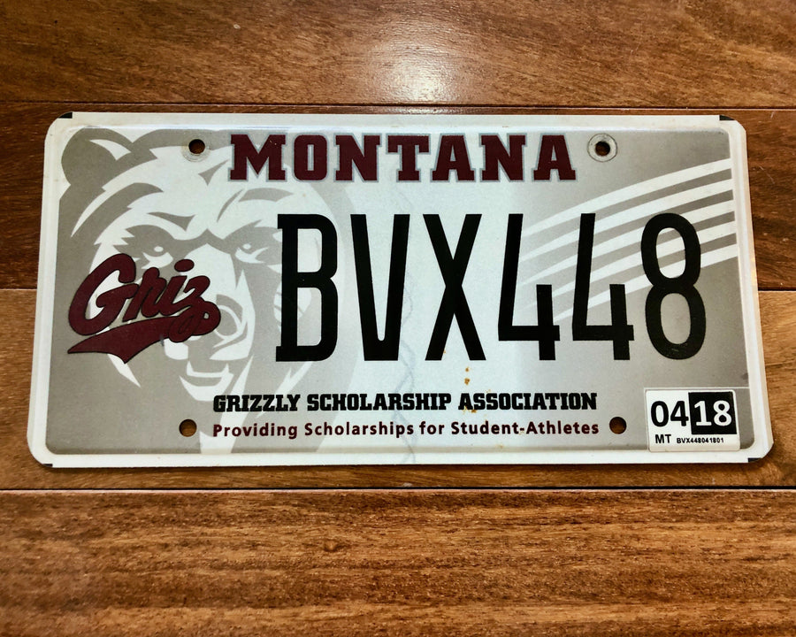 Montana Grizzly Scholarship Association License Plate