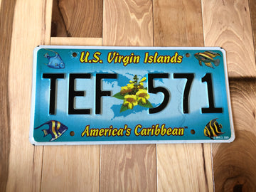 US Virgin Islands License Plate with Fish