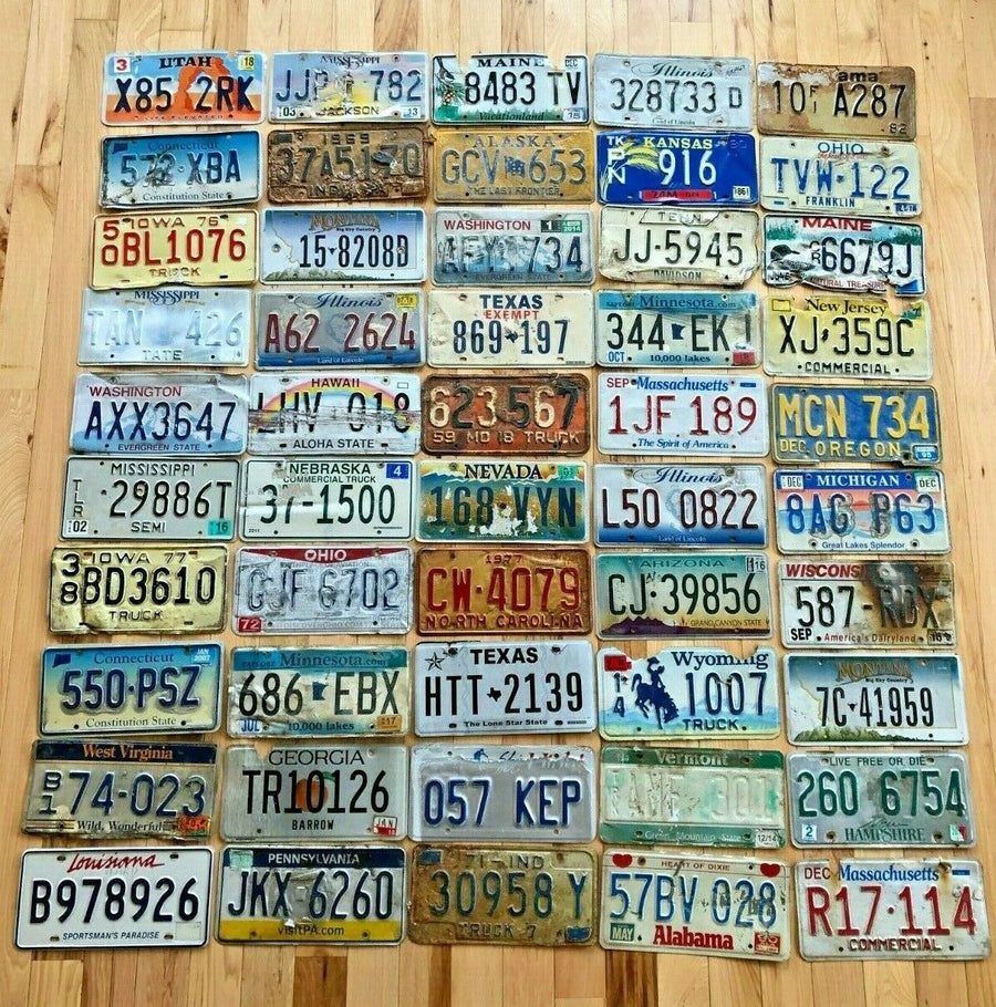 50 Roadkill Condition License Plates from at least 30 Different States
